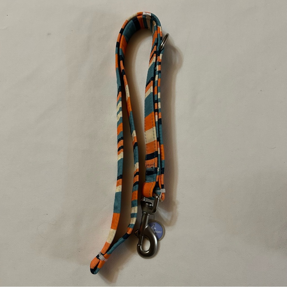4 ft Colorful Striped Dog Leash